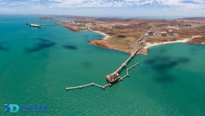 演员潘粤明批评国安：越南也输，你们真行